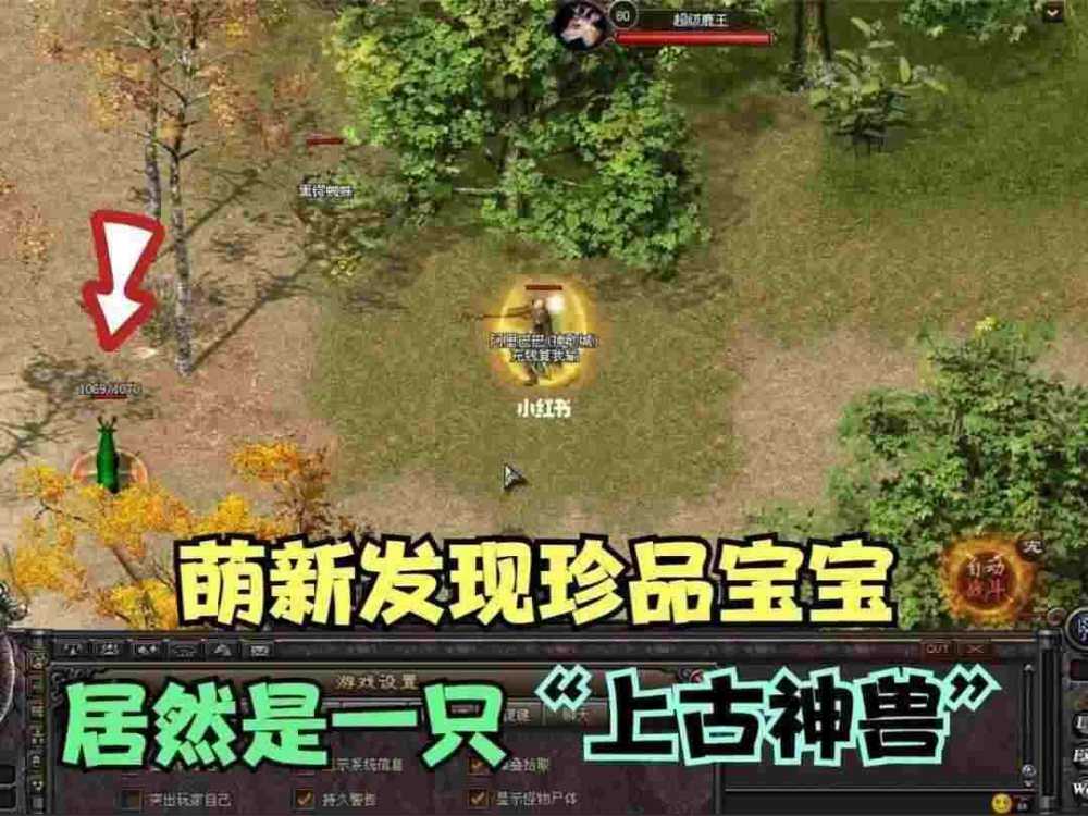 999传奇新服网站之热血传奇金条哪里换